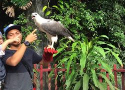 Langkawi Wildlife Park in Langkawi