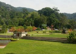 Penang Botanic Gardens in Penang