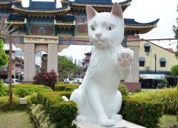 Kuching Cat Museum in Sarawak