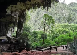 Niah National Park in Sarawak