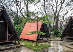 Kuala Selangor Nature Park in Selangor