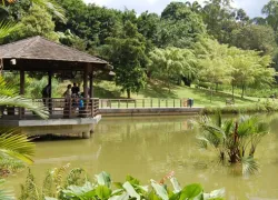 Singapore Botanic Gardens in Singapore