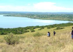 Ndere Island National Park in Kisumu