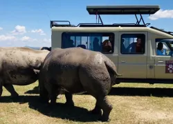 Ol Pejeta Conservancy
