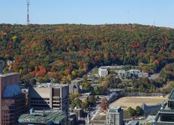 Montreal Museum Fine Arts in Montreal