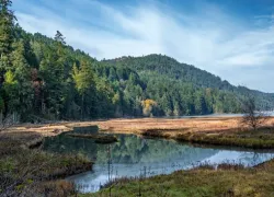 Goldstream Provincial Park in Victoria Island