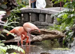 Victoria Butterfly Gardens in Victoria Island