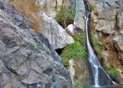 Darwin Falls in California