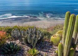 Encinitas Beach in California