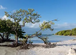 Annes Beach in Florida (Fl)
