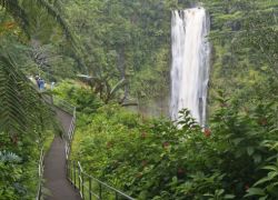 Akaka Falls State Park in Hawaii