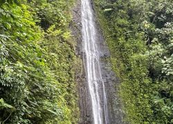 Manoa Falls in Hawaii