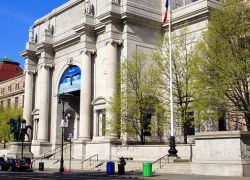 American Museum of Natural History