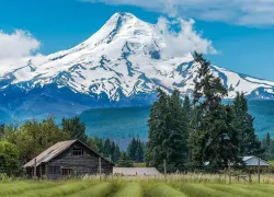 Mount Hood in Oregon