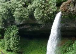 Silver Falls State Park in Oregon