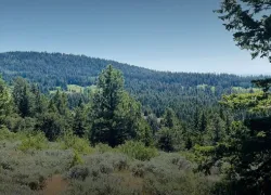 Slide Mountain in Oregon