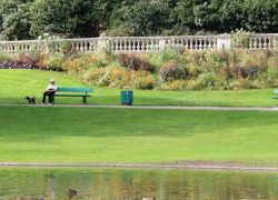 Jardin des Plantes in Angers