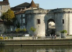 Vieux Cognac in Cognac