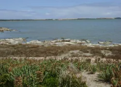 Coorong National Park in Adelaide