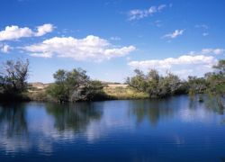 Adelaide Attractions