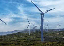 Albany Wind Farm in Albany