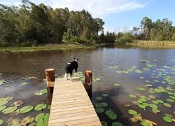 Cunnawarra National Park in Sydney