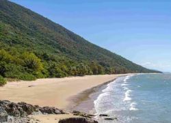 Ellis Beach