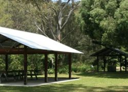 Lane Cove National Park in Sydney