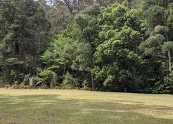 Macquarie Pass National Park in Sydney