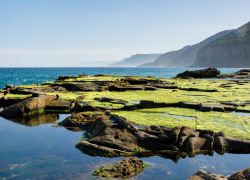 Royal National Park in Sydney