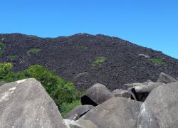 Black Mountain National Park in Brisbane