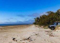 Burrum Coast National Park in Brisbane