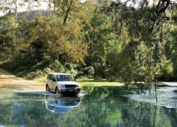 Conondale National Park in Brisbane