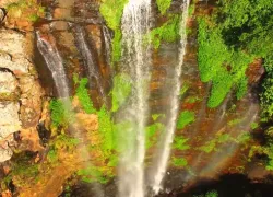 Queen Mary Falls in Brisbane