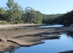 White Mountains National Park in Brisbane