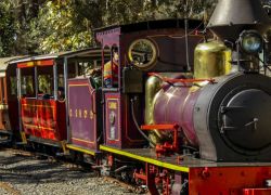 Illawarra Light Railway Museum in Wollongong