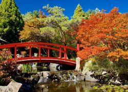 Royal Tasmanian Botanical Gardens in Hobart