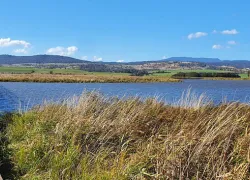 Tamar Island Wetlands in Launceston