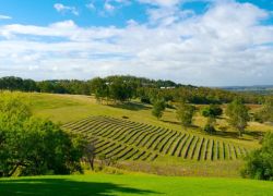 Hunter Valley in Newcastle