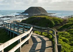Phillip Island in Victoria (Australia)