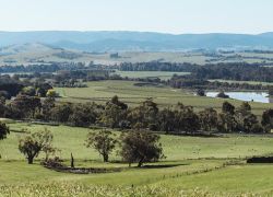 Yarra Valley in Victoria (Australia)