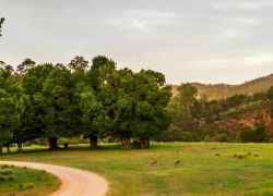 Mitchell River National Park in Melbourne