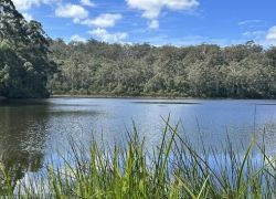 Beedelup National Park in Perth