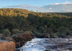 John Forrest National Park in Perth