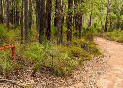 Neerabup National Park in Perth