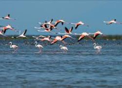 Chilika Lake in Ganjam