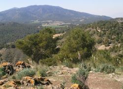 El Valle y Carrascoy Regional Park in Murcia