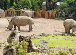 Parco Faunistico Le Cornelle in Bergamo