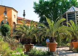 The Botanical Garden of Padova in Padova