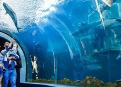 Acuario de Veracruz in Poza Rica